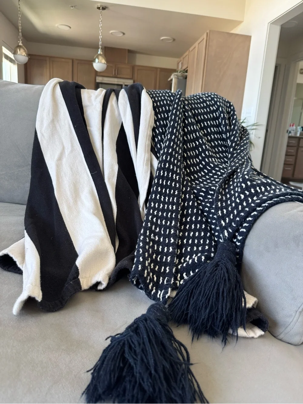 West Elm | Pottery Barn - Navy and White Tassel Throw Blankets - Home Accents